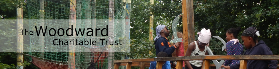 Woodward Charitable Trust Logo Banner